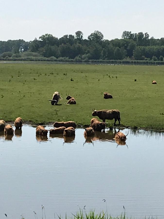 Authentiek Vakantiehuisje Terneuzen Eksteriør billede